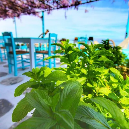 Avra Boutique * 贝尼蔡斯